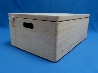 De Houtwagen | opbergkist playwood breed model 60 x 40 x 23 cm. | houten opbergkisten | € 75,00