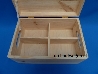 opbergkist met vakverdeling 30x20x14-1