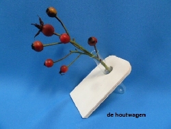 bloemkaart met reageerbuisje