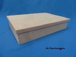 speelbak met deksel 50 x 35 x 10-1