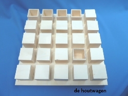 plateau met 25 bakjes-1