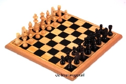 schaakspel