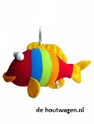 wiebeldier regenboogvis groot
